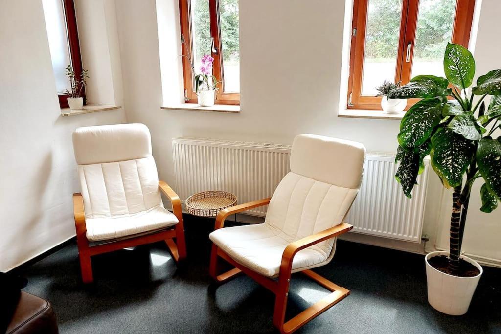 Zentrale Ferienwohnung - Direkt Am See Und Schloss シュヴェリーン エクステリア 写真