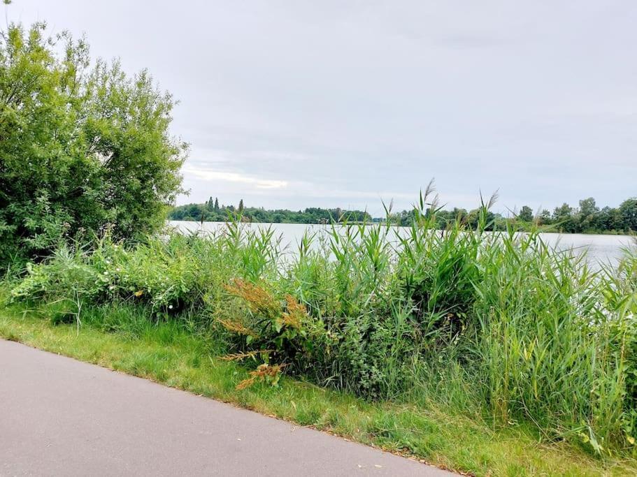 Zentrale Ferienwohnung - Direkt Am See Und Schloss シュヴェリーン エクステリア 写真